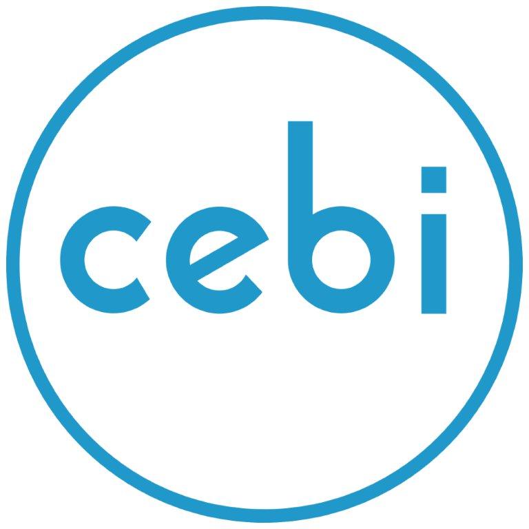 Logo Cebi Italy spa